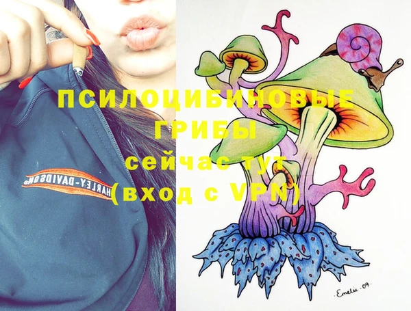 хмурый Переславль-Залесский