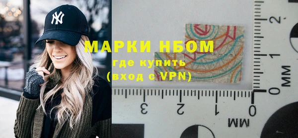 шишки Осинники