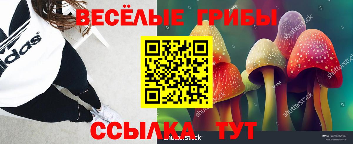 Унеча  Псилоцибиновые грибы прущие грибы  Псилоцибиновые грибы MAGIC MUSHROOMS  Вход с VPN 